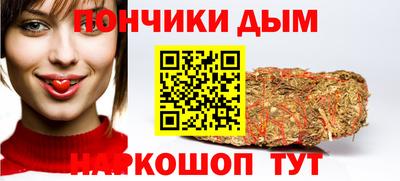 крисы Лесосибирск