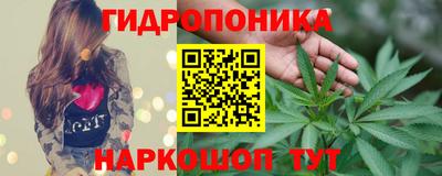 крисы Лесосибирск