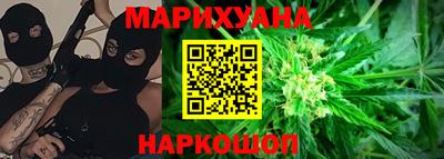 крисы Лесосибирск