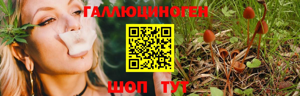 Галлюциногенные грибы мицелий  Вход с VPN  Псилоцибиновые грибы мухоморы  Дзержинск 