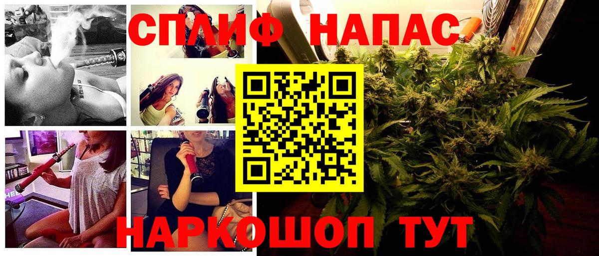 Канабис ГИДРОПОН  МАРИХУАНА White Widow  Вход с VPN  Дзержинск 